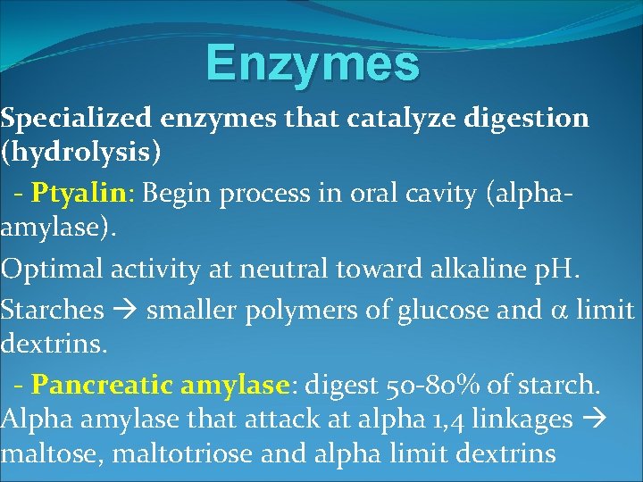 Enzymes Specialized enzymes that catalyze digestion (hydrolysis) - Ptyalin: Begin process in oral cavity