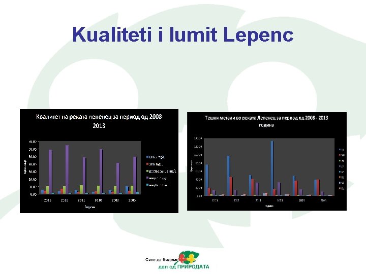 Kualiteti i lumit Lepenc 