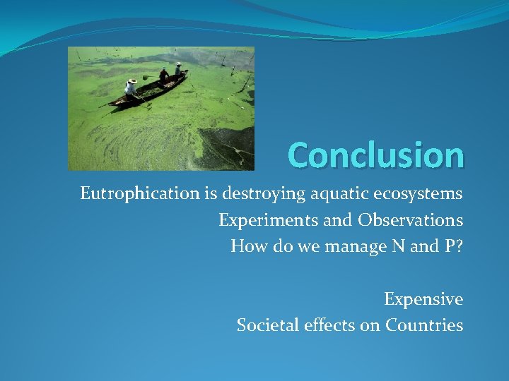 Conclusion Eutrophication is destroying aquatic ecosystems Experiments and Observations How do we manage N