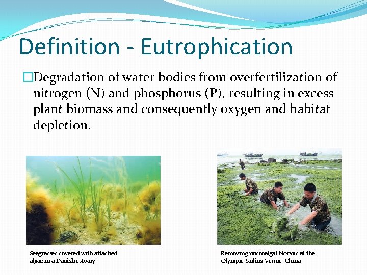 Definition - Eutrophication �Degradation of water bodies from overfertilization of nitrogen (N) and phosphorus