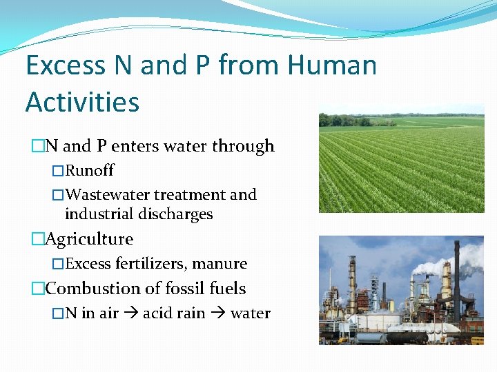 Excess N and P from Human Activities �N and P enters water through �Runoff