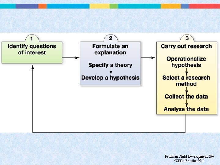 Feldman Child Development, 3/e © 2004 Prentice Hall 