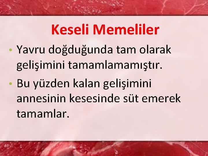 Keseli Memeliler Yavru doğduğunda tam olarak gelişimini tamamlamamıştır. • Bu yüzden kalan gelişimini annesinin