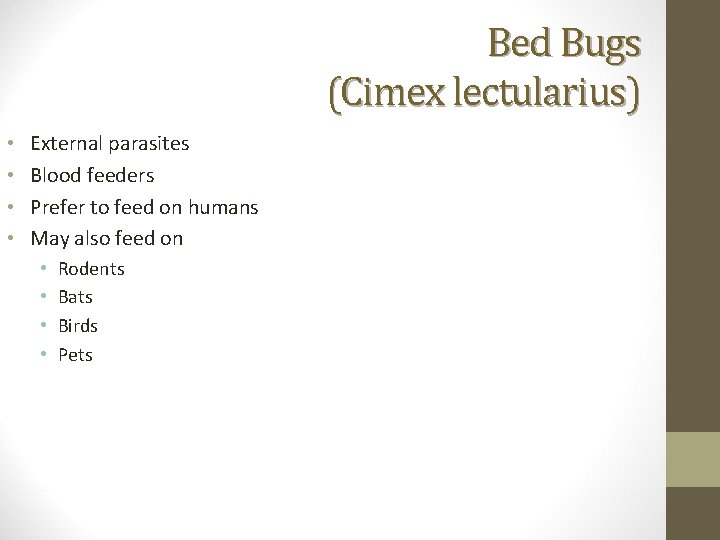 Bed Bugs (Cimex lectularius) • • External parasites Blood feeders Prefer to feed on