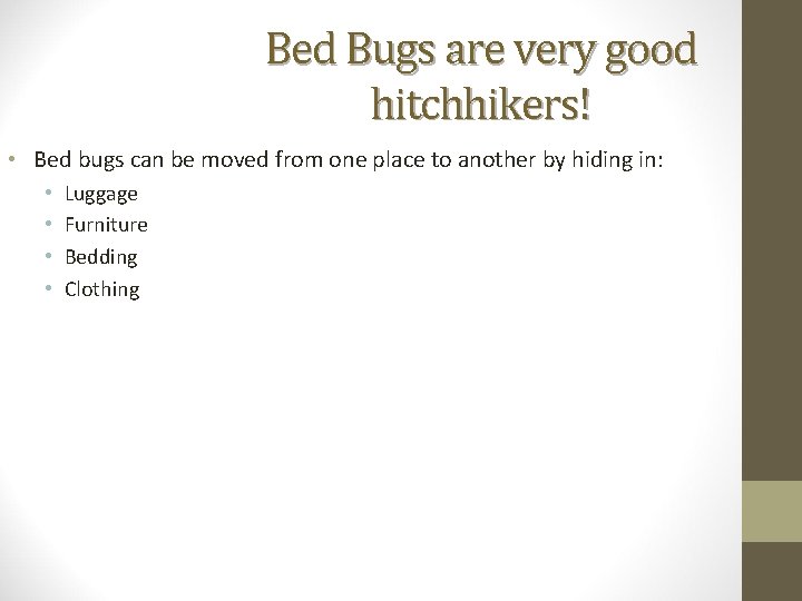 Bed Bugs are very good hitchhikers! • Bed bugs can be moved from one