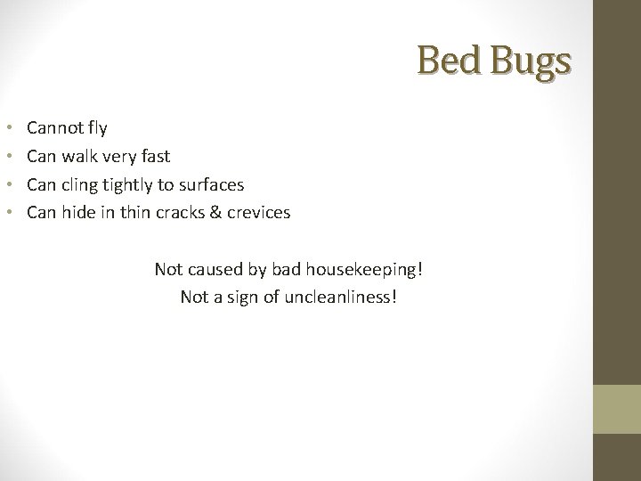 Bed Bugs • • Cannot fly Can walk very fast Can cling tightly to