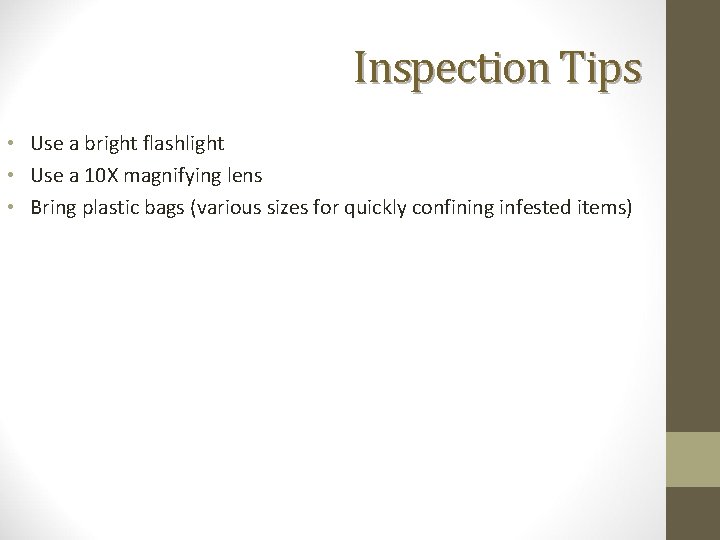 Inspection Tips • Use a bright flashlight • Use a 10 X magnifying lens