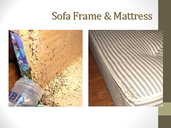 Sofa Frame & Mattress 