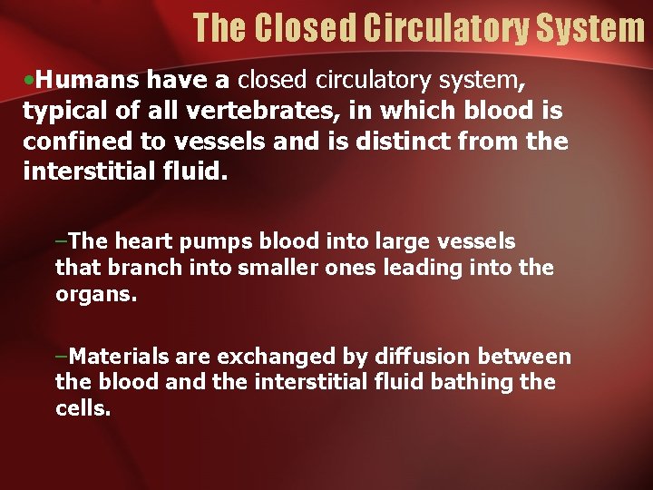 The Closed Circulatory System • Humans have a closed circulatory system, typical of all