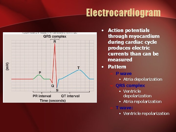 Electrocardiogram • Action potentials through myocardium during cardiac cycle produces electric currents than can