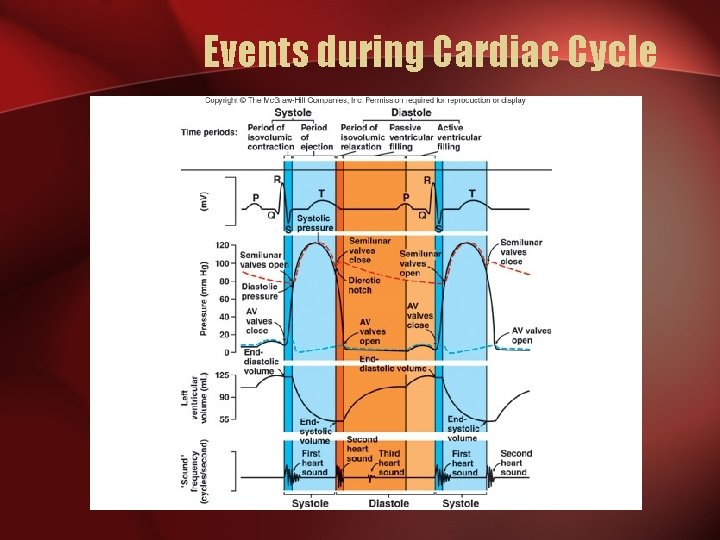 Events during Cardiac Cycle 