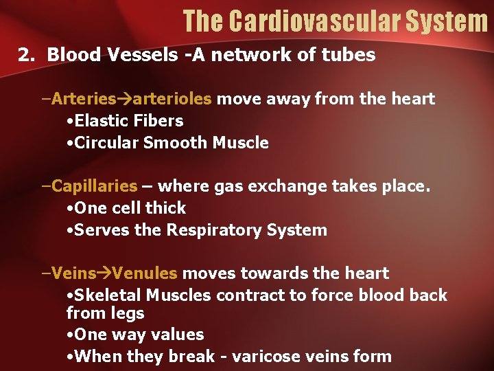 The Cardiovascular System 2. Blood Vessels -A network of tubes –Arteries arterioles move away