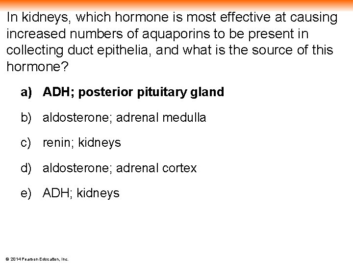 In kidneys, which hormone is most effective at causing increased numbers of aquaporins to