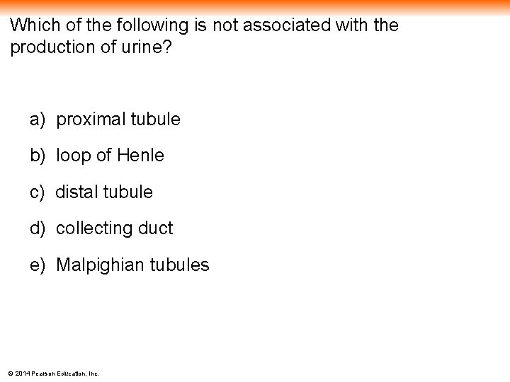 Which of the following is not associated with the production of urine? a) proximal