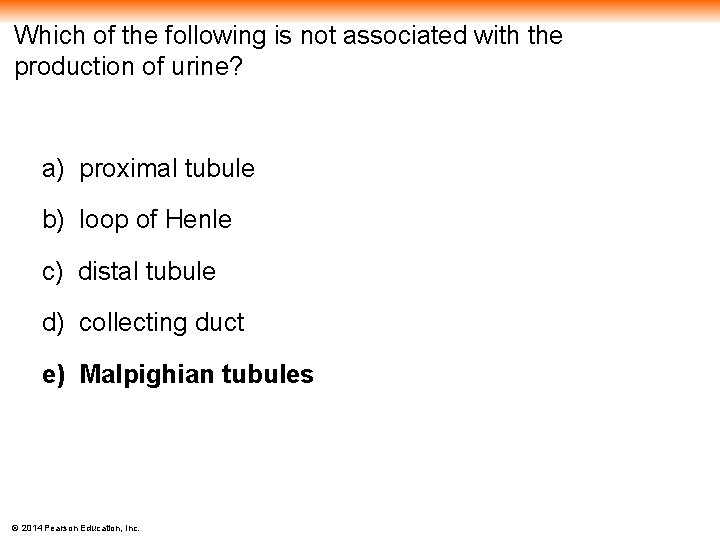 Which of the following is not associated with the production of urine? a) proximal