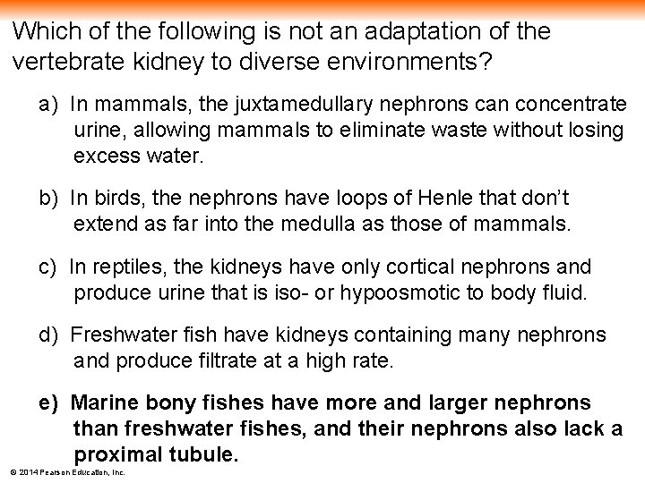 Which of the following is not an adaptation of the vertebrate kidney to diverse