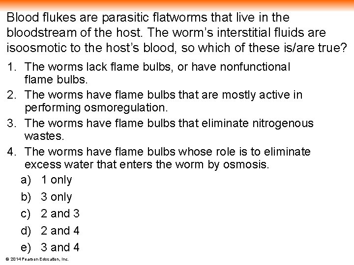 Blood flukes are parasitic flatworms that live in the bloodstream of the host. The