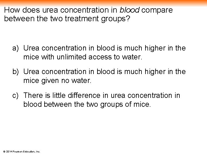 How does urea concentration in blood compare between the two treatment groups? a) Urea