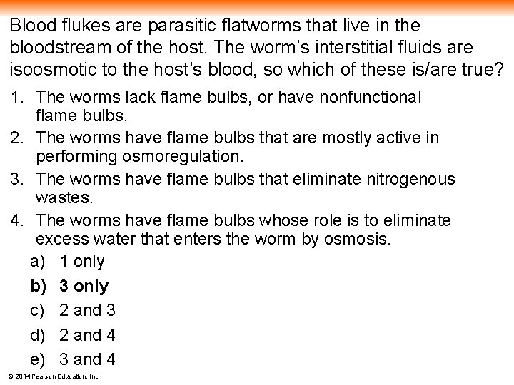 Blood flukes are parasitic flatworms that live in the bloodstream of the host. The
