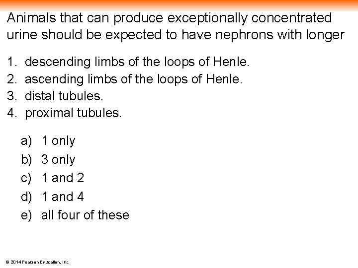 Animals that can produce exceptionally concentrated urine should be expected to have nephrons with