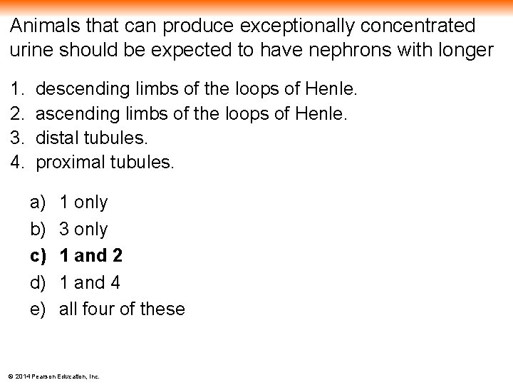 Animals that can produce exceptionally concentrated urine should be expected to have nephrons with