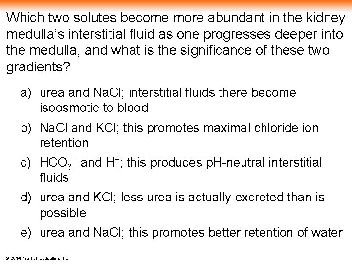 Which two solutes become more abundant in the kidney medulla’s interstitial fluid as one