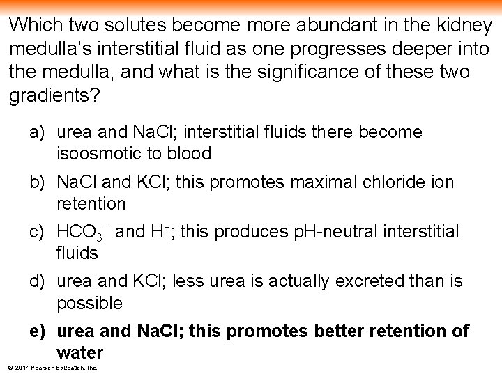 Which two solutes become more abundant in the kidney medulla’s interstitial fluid as one