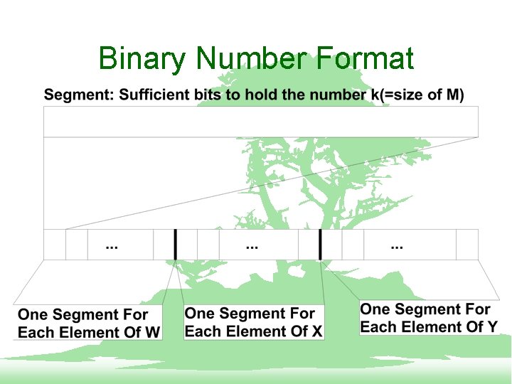 Binary Number Format 