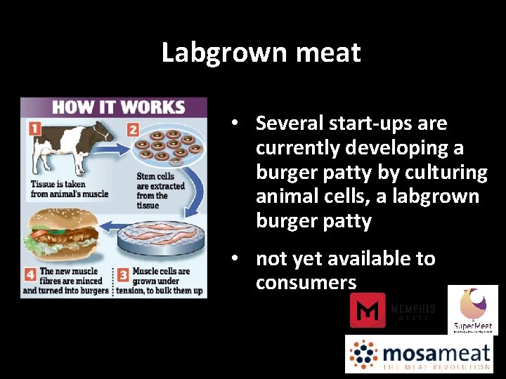 Labgrown meat • Several start-ups are currently developing a burger patty by culturing animal