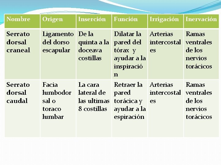 Nombre Origen Inserción Serrato dorsal craneal Ligamento De la del dorso quinta a la