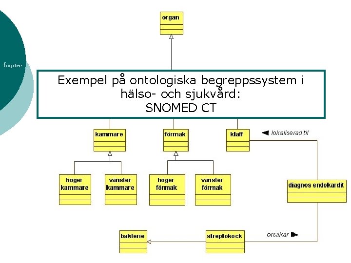 fogare Exempel på ontologiska begreppssystem i hälso- och sjukvård: SNOMED CT 