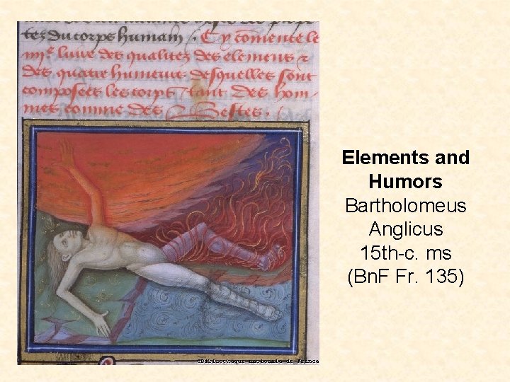 Elements and Humors Bartholomeus Anglicus 15 th-c. ms (Bn. F Fr. 135) 