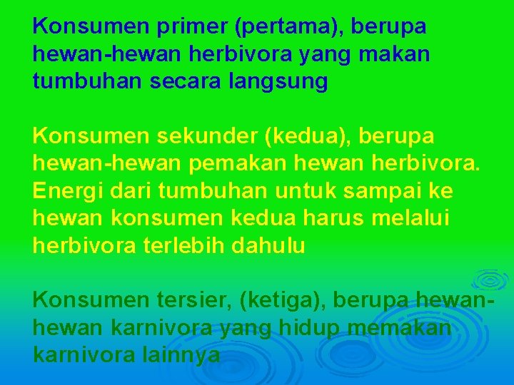 Konsumen primer (pertama), berupa hewan-hewan herbivora yang makan tumbuhan secara langsung Konsumen sekunder (kedua),