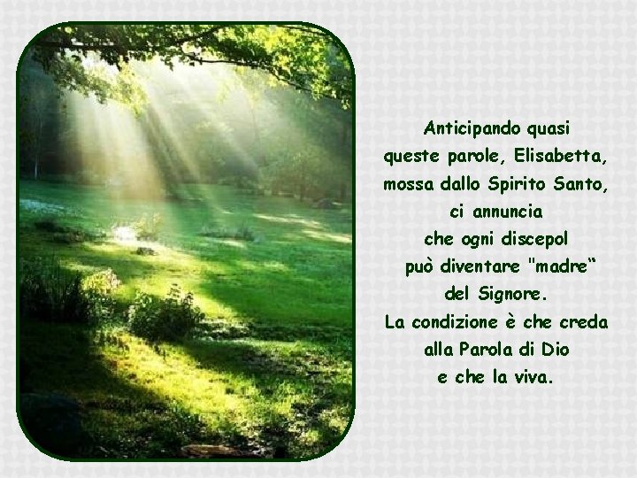 Anticipando quasi queste parole, Elisabetta, mossa dallo Spirito Santo, ci annuncia che ogni discepol