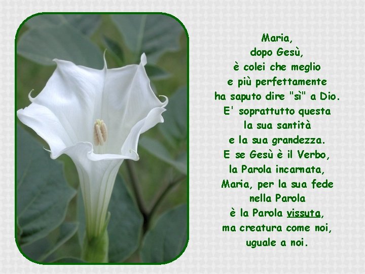 Maria, dopo Gesù, è colei che meglio e più perfettamente ha saputo dire "sì"