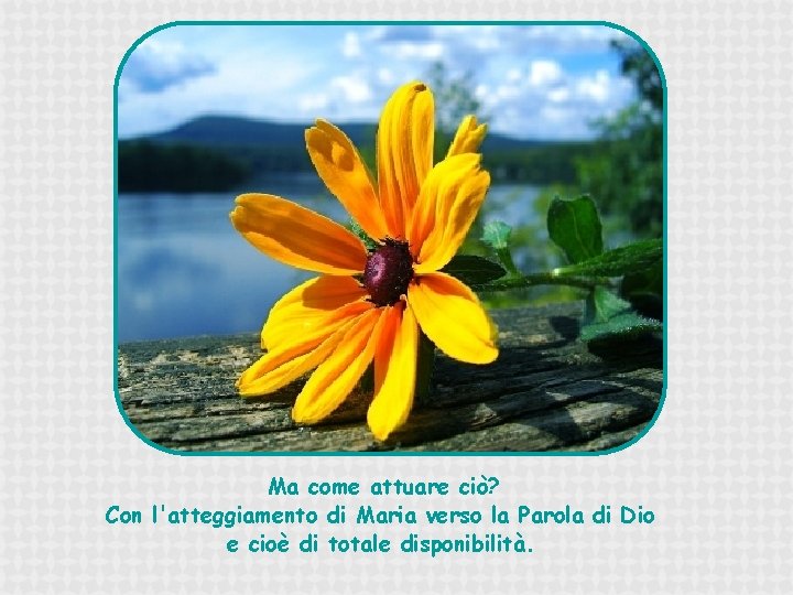 Ma come attuare ciò? Con l'atteggiamento di Maria verso la Parola di Dio e
