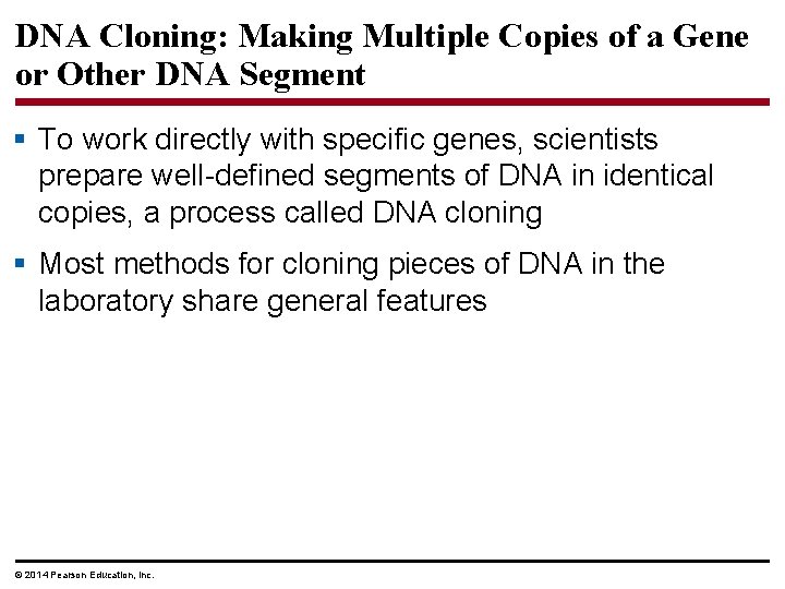 DNA Cloning: Making Multiple Copies of a Gene or Other DNA Segment § To
