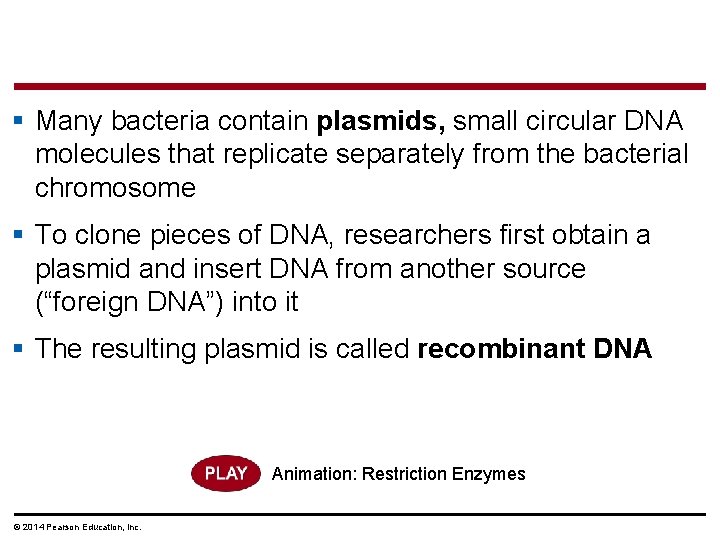 § Many bacteria contain plasmids, small circular DNA molecules that replicate separately from the