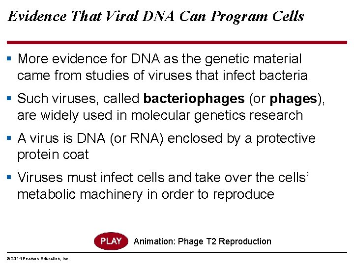 Evidence That Viral DNA Can Program Cells § More evidence for DNA as the