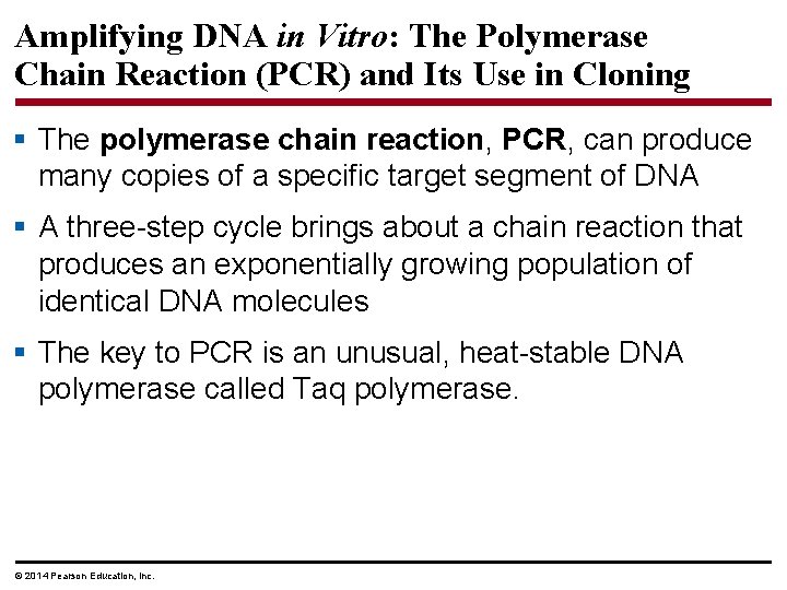 Amplifying DNA in Vitro: The Polymerase Chain Reaction (PCR) and Its Use in Cloning