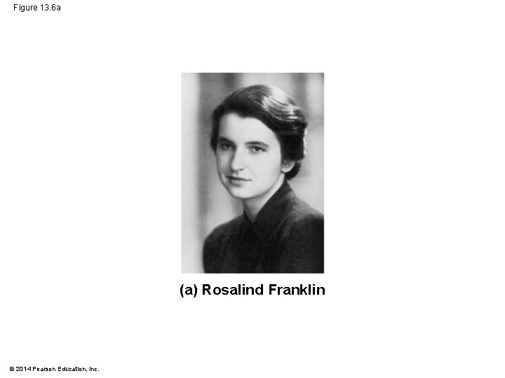 Figure 13. 6 a (a) Rosalind Franklin © 2014 Pearson Education, Inc. 