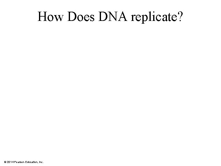 How Does DNA replicate? © 2014 Pearson Education, Inc. 