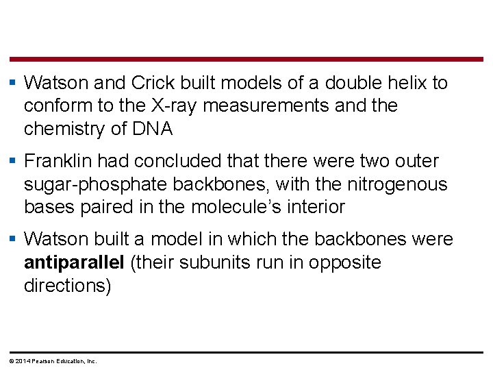 § Watson and Crick built models of a double helix to conform to the