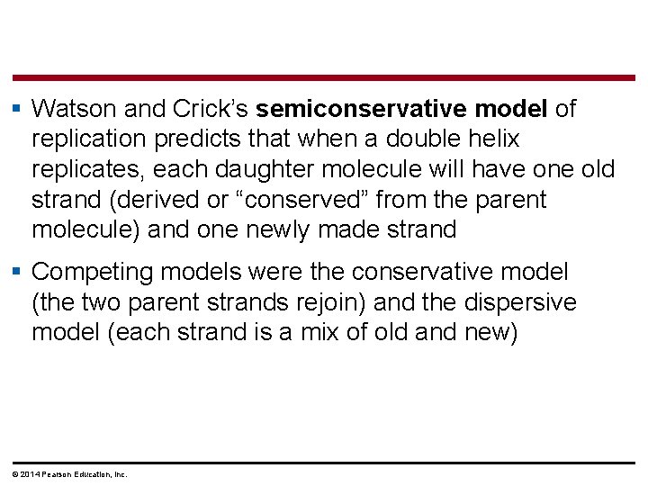 § Watson and Crick’s semiconservative model of replication predicts that when a double helix