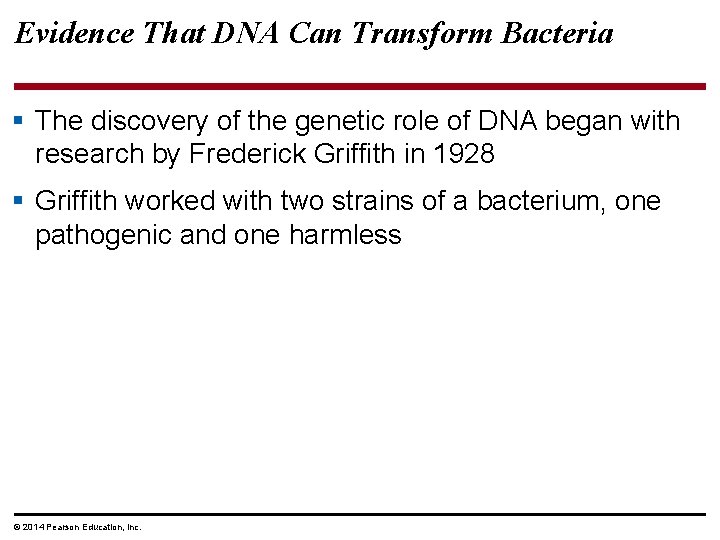 Evidence That DNA Can Transform Bacteria § The discovery of the genetic role of