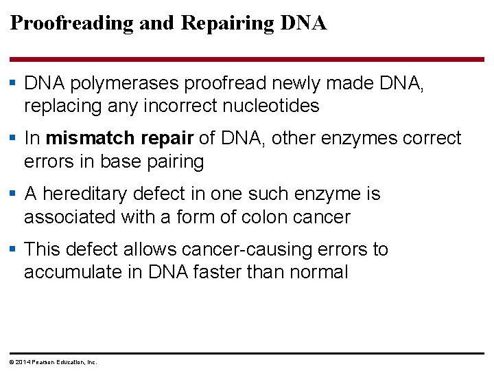 Proofreading and Repairing DNA § DNA polymerases proofread newly made DNA, replacing any incorrect