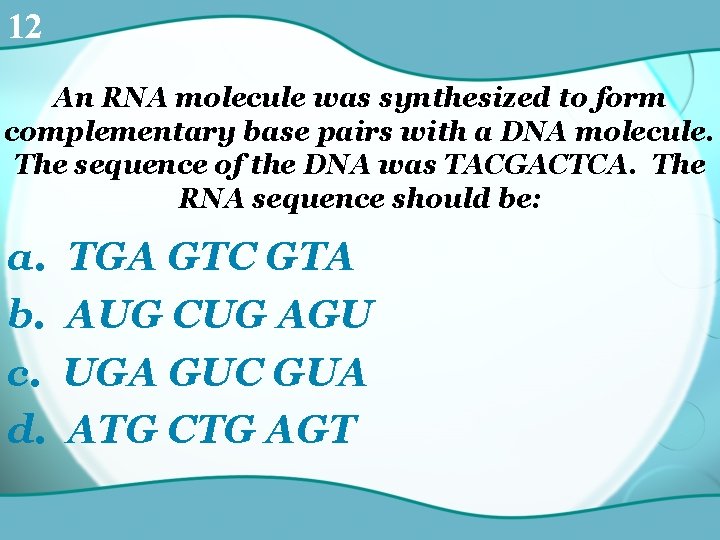 12 An RNA molecule was synthesized to form complementary base pairs with a DNA