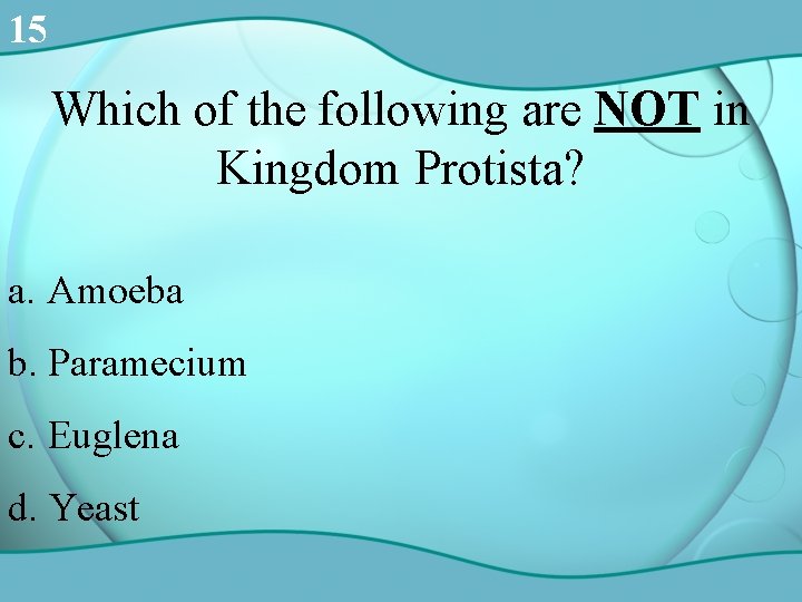 15 Which of the following are NOT in Kingdom Protista? a. Amoeba b. Paramecium