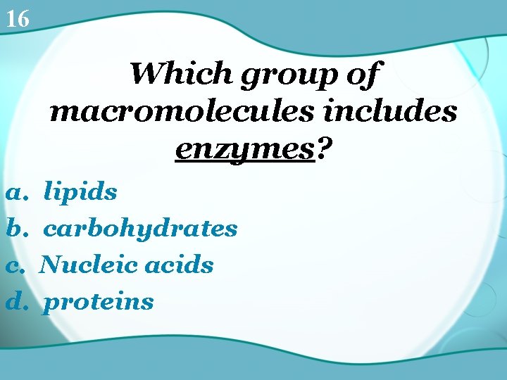 16 Which group of macromolecules includes enzymes? a. b. c. d. lipids carbohydrates Nucleic