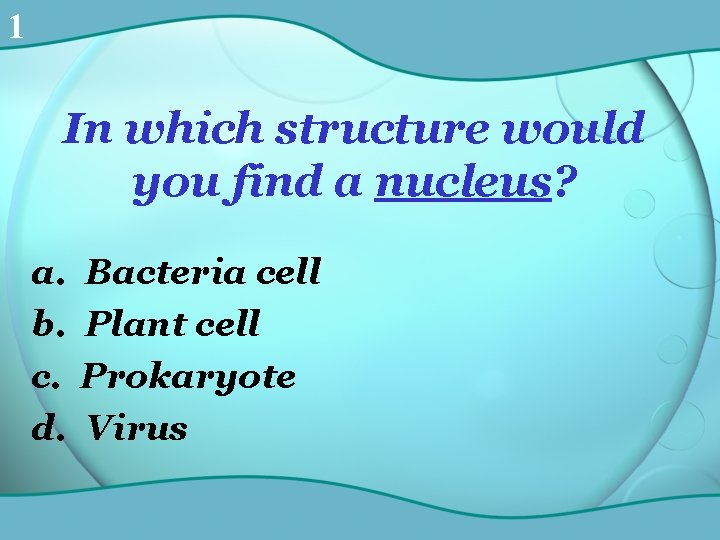 1 In which structure would you find a nucleus? a. b. c. d. Bacteria